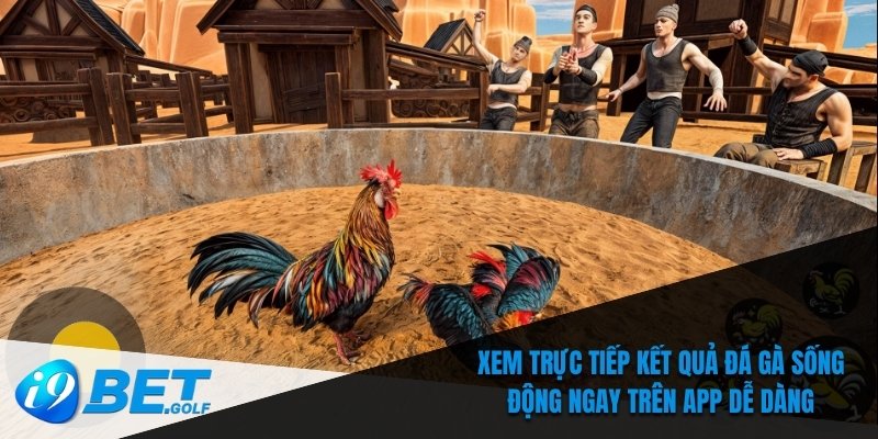 Tải App Đá Gà Trực Tuyến - Chơi Mọi Lúc Mọi Nơi Tại I9bet 6 Xem trực tiếp kết quả đá gà sống động ngay trên app dễ dàng