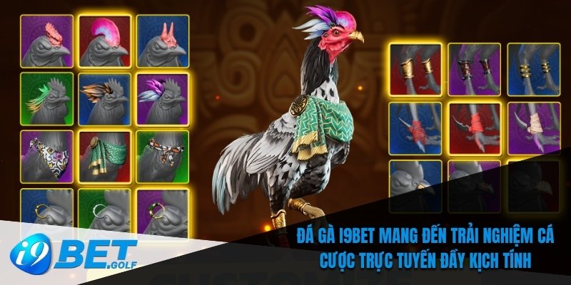 Đá gà I9bet mang đến trải nghiệm cá cược trực tuyến đầy kịch tính