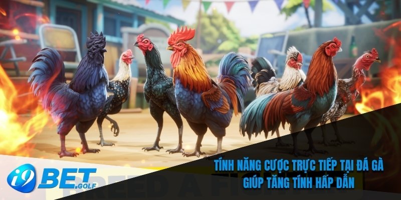 Tính năng cược trực tiếp tại đá gà giúp tăng tính hấp dẫn