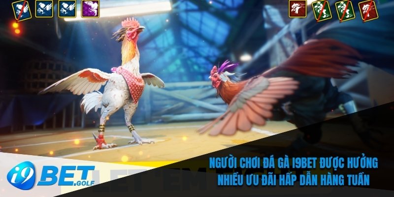 Người chơi đá gà I9bet được hưởng nhiều ưu đãi hấp dẫn hàng tuần
