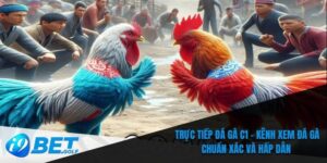 Trực tiếp đá gà C1
