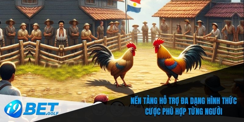 Nền tảng hỗ trợ đa dạng hình thức cược phù hợp từng người